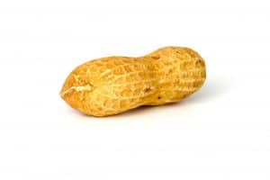peanut